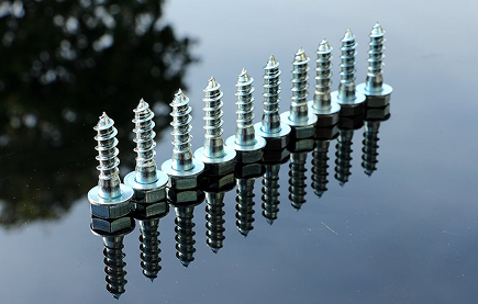 A Row Of Screws Arranged Neatly On A Reflective Surface